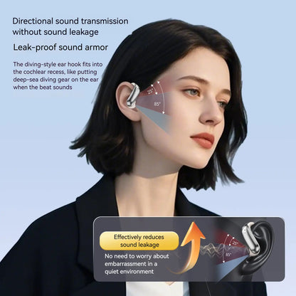 Titanium Ear Hook Wireless Bluetooth Headphones 6.0 with 165H Playtime, Noise Isolation, Waterproof Sweatproof Sports Earbuds